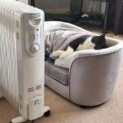 ヒメ日記 2025/10/20 08:03 投稿 体験なな ミセスコレクション