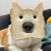 ヒメ日記 2025/10/20 12:08 投稿 体験なな ミセスコレクション