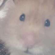 ヒメ日記 2025/10/20 18:03 投稿 体験なな ミセスコレクション