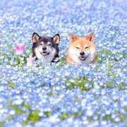 ヒメ日記 2025/10/20 21:53 投稿 体験なな ミセスコレクション