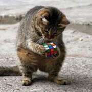 ヒメ日記 2025/10/20 23:53 投稿 体験なな ミセスコレクション