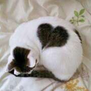 ヒメ日記 2025/10/21 00:13 投稿 体験なな ミセスコレクション