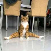 ヒメ日記 2025/10/21 08:13 投稿 体験なな ミセスコレクション