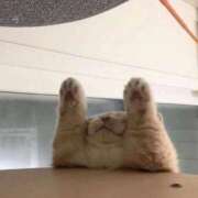 ヒメ日記 2025/10/21 12:07 投稿 体験なな ミセスコレクション