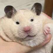 ヒメ日記 2025/10/22 00:53 投稿 体験なな ミセスコレクション