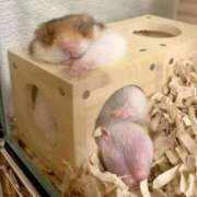 ヒメ日記 2025/10/22 01:03 投稿 体験なな ミセスコレクション