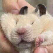 ヒメ日記 2025/10/22 08:13 投稿 体験なな ミセスコレクション