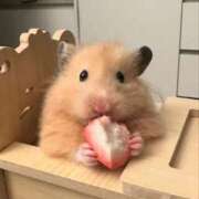 ヒメ日記 2025/10/22 12:06 投稿 体験なな ミセスコレクション