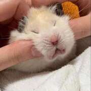 ヒメ日記 2025/10/22 18:13 投稿 体験なな ミセスコレクション