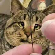 ヒメ日記 2025/10/22 22:23 投稿 体験なな ミセスコレクション