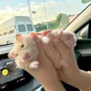 ヒメ日記 2025/10/23 08:03 投稿 体験なな ミセスコレクション