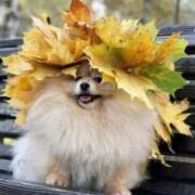 ヒメ日記 2025/10/23 12:08 投稿 体験なな ミセスコレクション