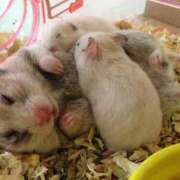 ヒメ日記 2025/10/23 21:33 投稿 体験なな ミセスコレクション