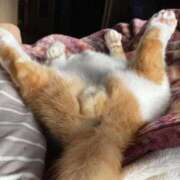 ヒメ日記 2025/10/24 01:23 投稿 体験なな ミセスコレクション