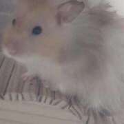 ヒメ日記 2025/10/24 01:43 投稿 体験なな ミセスコレクション