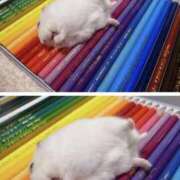 ヒメ日記 2025/10/24 08:13 投稿 体験なな ミセスコレクション