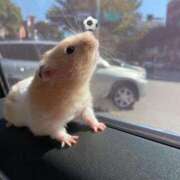 ヒメ日記 2025/10/24 20:43 投稿 体験なな ミセスコレクション