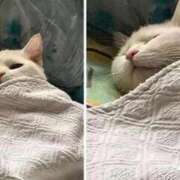 ヒメ日記 2025/10/24 23:13 投稿 体験なな ミセスコレクション