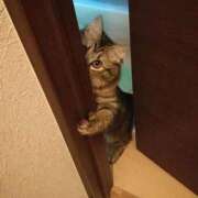 ヒメ日記 2025/10/25 01:03 投稿 体験なな ミセスコレクション