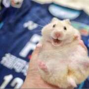 ヒメ日記 2025/10/25 08:13 投稿 体験なな ミセスコレクション