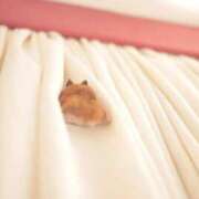 ヒメ日記 2025/10/25 19:53 投稿 体験なな ミセスコレクション