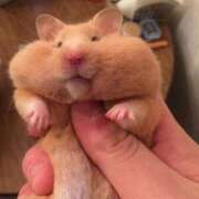 ヒメ日記 2025/10/25 21:43 投稿 体験なな ミセスコレクション