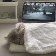 ヒメ日記 2025/10/26 01:03 投稿 体験なな ミセスコレクション