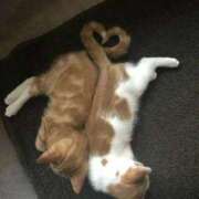 ヒメ日記 2025/10/26 01:23 投稿 体験なな ミセスコレクション