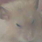 ヒメ日記 2025/10/26 08:13 投稿 体験なな ミセスコレクション