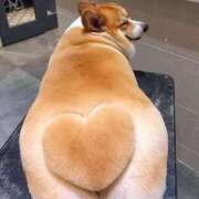 ヒメ日記 2025/10/27 08:03 投稿 体験なな ミセスコレクション