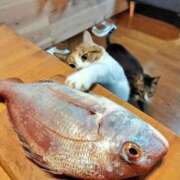 ヒメ日記 2025/10/27 12:09 投稿 体験なな ミセスコレクション