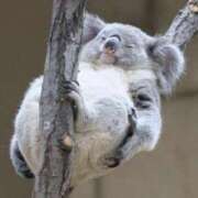 ヒメ日記 2025/10/27 20:33 投稿 体験なな ミセスコレクション