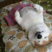 ヒメ日記 2025/10/28 01:03 投稿 体験なな ミセスコレクション