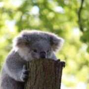 ヒメ日記 2025/10/28 08:03 投稿 体験なな ミセスコレクション