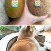 ヒメ日記 2025/10/28 12:08 投稿 体験なな ミセスコレクション