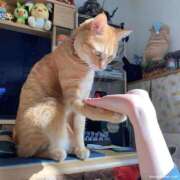 ヒメ日記 2025/10/28 21:13 投稿 体験なな ミセスコレクション