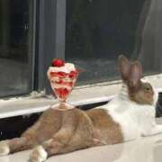 ヒメ日記 2025/10/29 01:53 投稿 体験なな ミセスコレクション