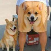 ヒメ日記 2025/10/29 20:55 投稿 体験なな ミセスコレクション