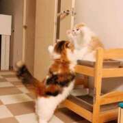 ヒメ日記 2025/10/29 22:03 投稿 体験なな ミセスコレクション