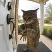 ヒメ日記 2025/10/30 00:23 投稿 体験なな ミセスコレクション