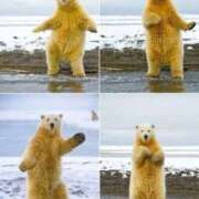 ヒメ日記 2025/10/30 08:03 投稿 体験なな ミセスコレクション