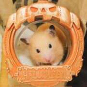 ヒメ日記 2025/10/31 08:13 投稿 体験なな ミセスコレクション