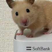 ヒメ日記 2025/11/01 08:03 投稿 体験なな ミセスコレクション