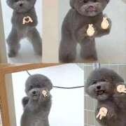 ヒメ日記 2025/11/02 01:23 投稿 体験なな ミセスコレクション