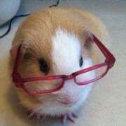 ヒメ日記 2025/11/03 08:13 投稿 体験なな ミセスコレクション