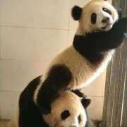 ヒメ日記 2025/11/03 18:03 投稿 体験なな ミセスコレクション