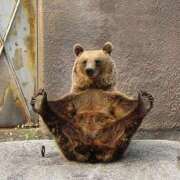 ヒメ日記 2025/11/04 01:23 投稿 体験なな ミセスコレクション