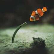 ヒメ日記 2025/11/04 02:23 投稿 体験なな ミセスコレクション