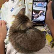 ヒメ日記 2025/11/04 08:13 投稿 体験なな ミセスコレクション