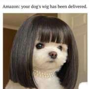 ヒメ日記 2025/11/04 12:07 投稿 体験なな ミセスコレクション